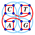 CTAG Group Logo