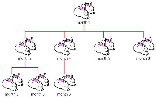 FIBONACCI'S RABBITS